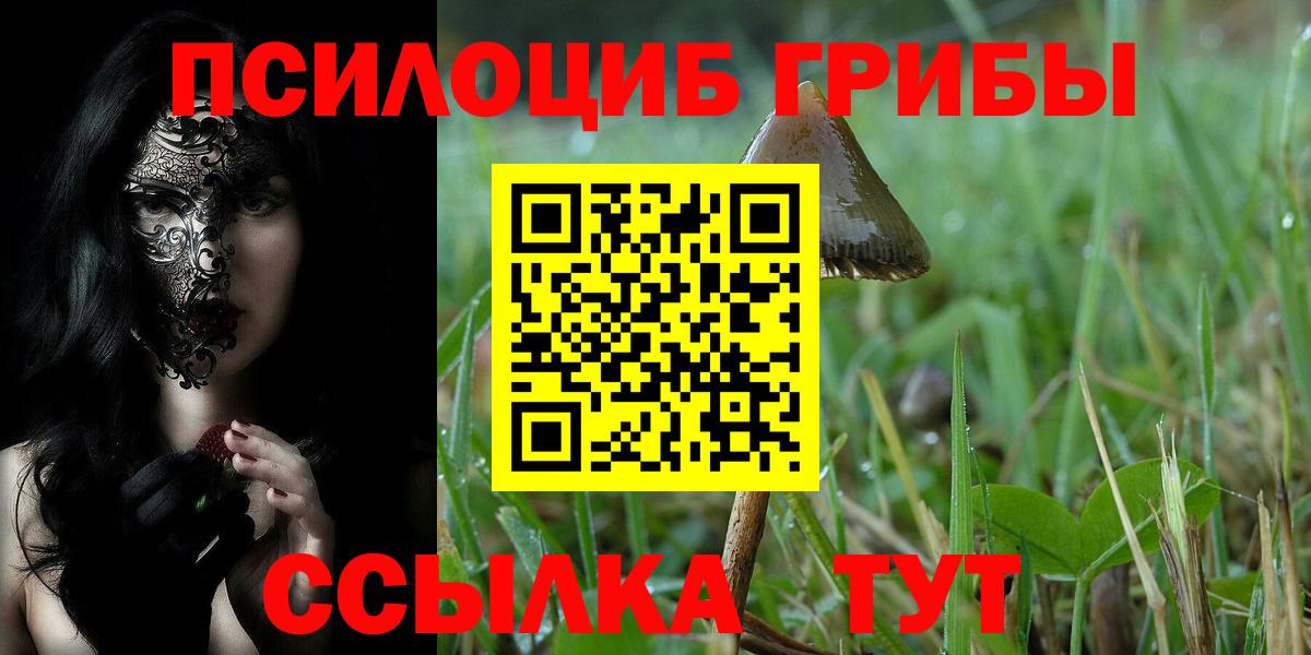 Галлюциногенные грибы мицелий Советская Гавань