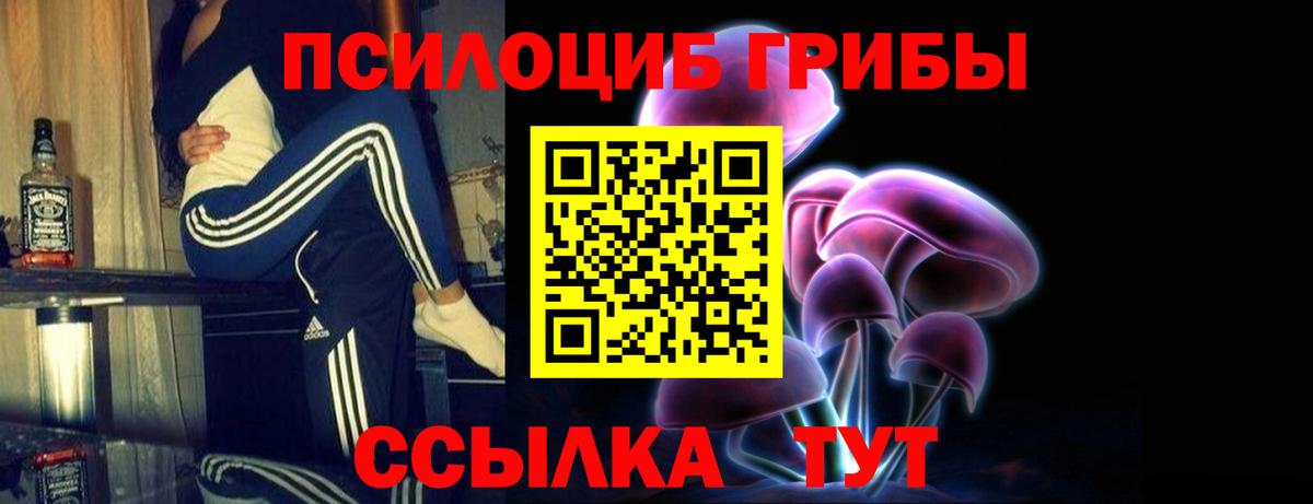 Галлюциногенные грибы MAGIC MUSHROOMS  Вход с VPN  Советская Гавань 